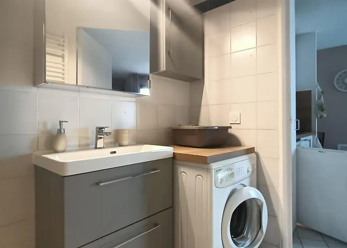 Cosy Climatise Vue 3etoiles דירה קאנט אן רוסיון